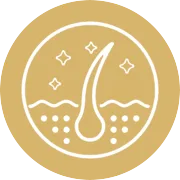 Yorgain Hair Care Experts Regulates-the-hair-cycle
