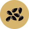 Yorgain Hair Care Products Flex-Seed-Extract-icon