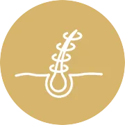 Yorgain Hair Care Products-Hair Nutrition