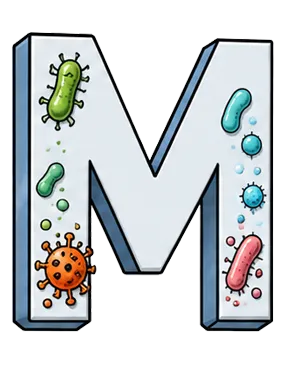 Yorgain Hair Care Products-Microbial-Safety-letter