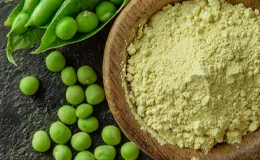 Yorgain Hair Care Products-Pea Protein Isolate