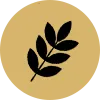 Yorgain Hair Care Products Rich-Protein-Icon