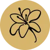 Yorgain Hair Care Products-Sesbania-Grandiflora-Icon