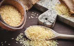 Yorgain Hair Care Products-rice-protein-isolate-Ingredients